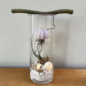 Anemone Cylinder Air Plant Terrarium Flower Bouquet