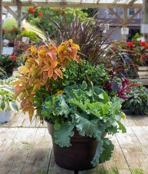 Goshen Friends School Fundraiser Flower Bouquet