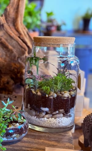 Plant Terrarium Flower Bouquet