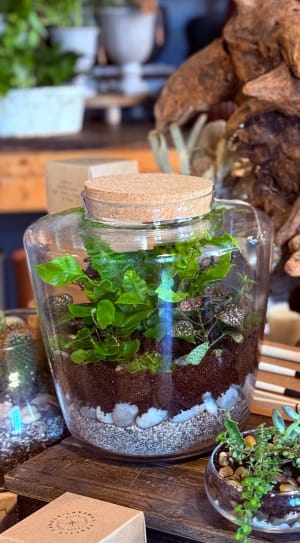 Plant Terrarium Flower Bouquet