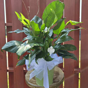 Decorative 6in Peace Lily Flower Bouquet