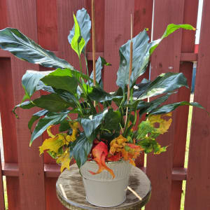 Decorative 6in Peace Lily Flower Bouquet