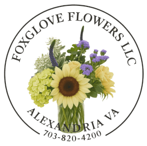 Foxglove Flowers LLC - Alexandria, VA Florist