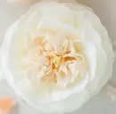 Bathing Petal Soap Flower Flower Bouquet