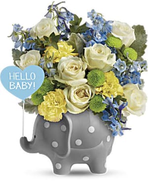 Teleflora’s Hello Sweet Baby – Blue Flower Bouquet