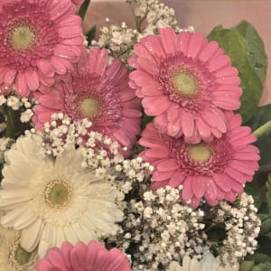 GERBERA GLITTER WRAPPED BOUQUET Flower Bouquet