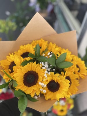 Sunflowers