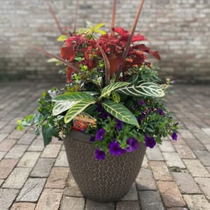Assorted Autumn Planter - Autumn Flowers Flower Bouquet