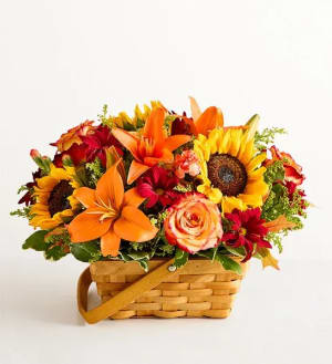 Fields of Europe Fall Basket Flower Arrangement Fields of Europe Fall Basket Flower Bouquet