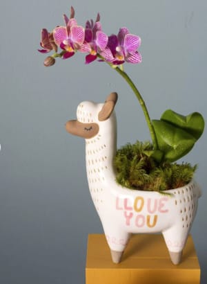 Llama Planter Flower Bouquet