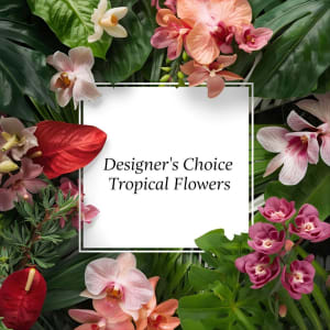 Designers Choice Tropical Flowers Flower Bouquet