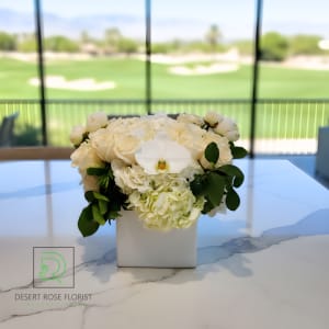 Elegant Orchids