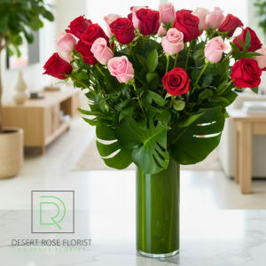 Our Classic Dozen Roses
