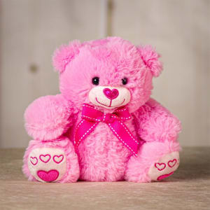 V340-Pink or Red Bear Flower Bouquet