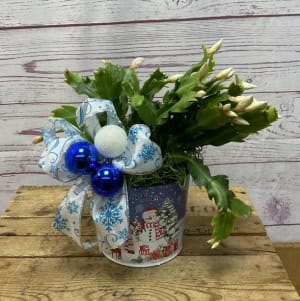 Holiday Dressed Christmas Cactus Flower Bouquet