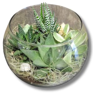 Bubble Bowl Terrarium Flower Bouquet