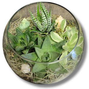 Bubble Bowl Terrarium Flower Bouquet
