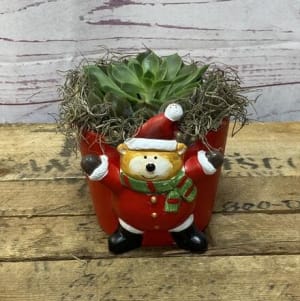 Holiday Succulent in Deer Pot Flower Bouquet