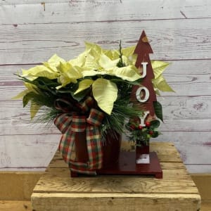 Joy Poinsettia Planter Flower Bouquet