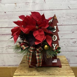 Joy Poinsettia Planter Flower Bouquet