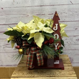Joy Poinsettia Planter Flower Bouquet
