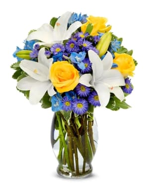 Big Bright Blue Skies