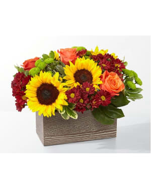 Butterscotch Blossoms