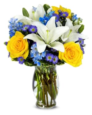 Big Bright Blue Skies