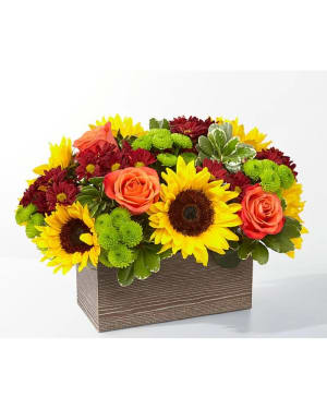 Butterscotch Blossoms