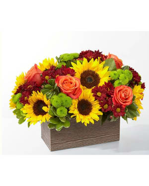 Butterscotch Blossoms