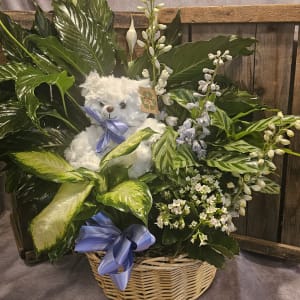 Large Baby Boy Dish Garden with Stuffie Flower Bouquet