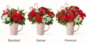 Peppermint Swirl Mug 2025 Flower Bouquet