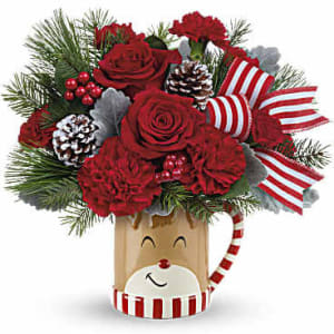 Teleflora's Send a Hug Reindeer "Wish" Mug Flower Bouquet