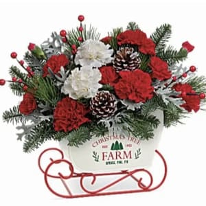 Christmas Tree Farm White Sleigh