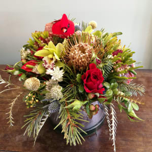 Cardinal and Company