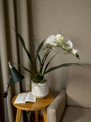 White Orchid Flower Bouquet