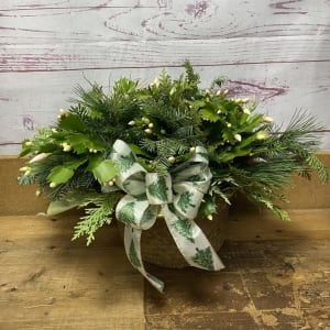 Holiday Dressed Christmas Cactus Flower Bouquet