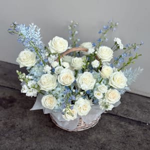 TWINKLE TWINKLE BASKET