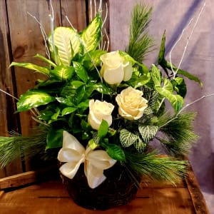 Winter Whites Dish Garden Flower Bouquet