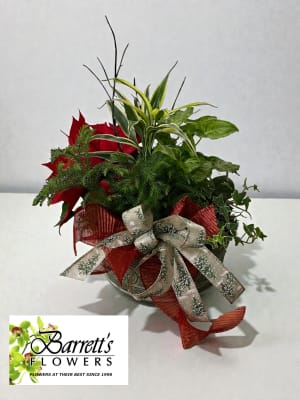 14" DISH GARDEN SEASONAL Flower Bouquet