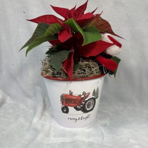 4 IN POINTSETTIA Flower Bouquet