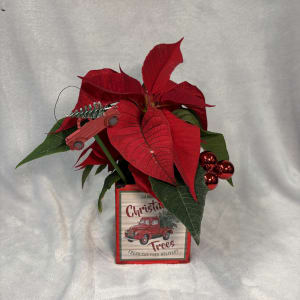 4 IN POINTSETTIA Flower Bouquet