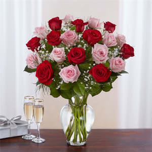 Ultimate Elegance ™ Long Stem Pink & Red Roses