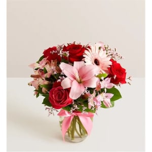 Fields Of Europe Romance