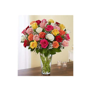 Ultimate Elegance™ Long Stem Assorted Roses