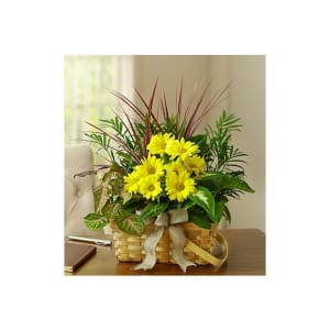 Dish Garden With Fresh Cut Flowers