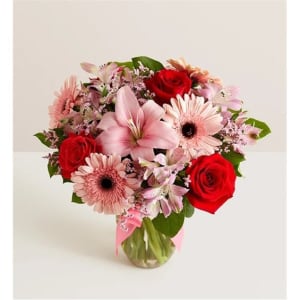 Fields Of Europe Romance