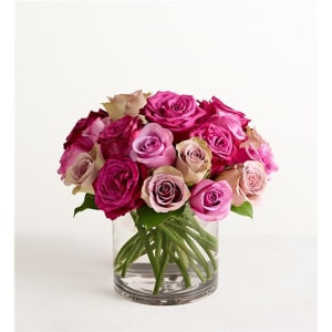 Contemporary Shades Of Lavender Roses™