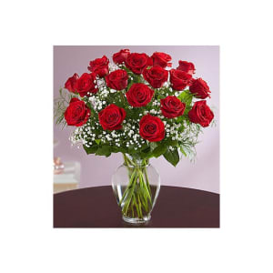 Rose Elegance ™ Long Stem Red Roses