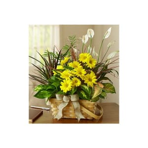 Dish Garden With Fresh Cut Flowers